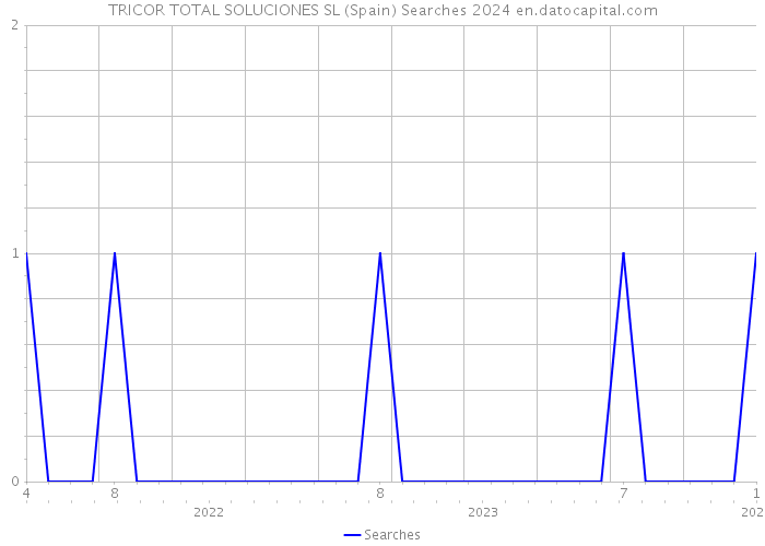 TRICOR TOTAL SOLUCIONES SL (Spain) Searches 2024 