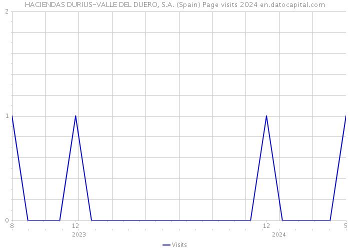 HACIENDAS DURIUS-VALLE DEL DUERO, S.A. (Spain) Page visits 2024 