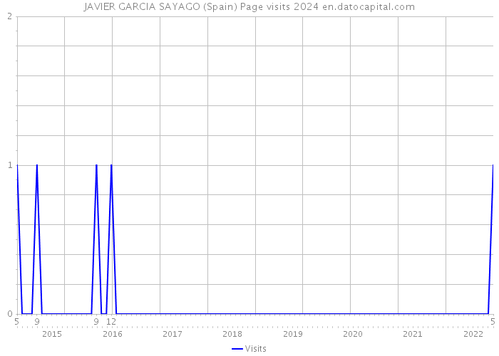 JAVIER GARCIA SAYAGO (Spain) Page visits 2024 
