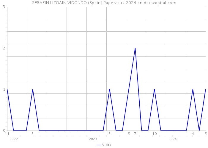 SERAFIN LIZOAIN VIDONDO (Spain) Page visits 2024 