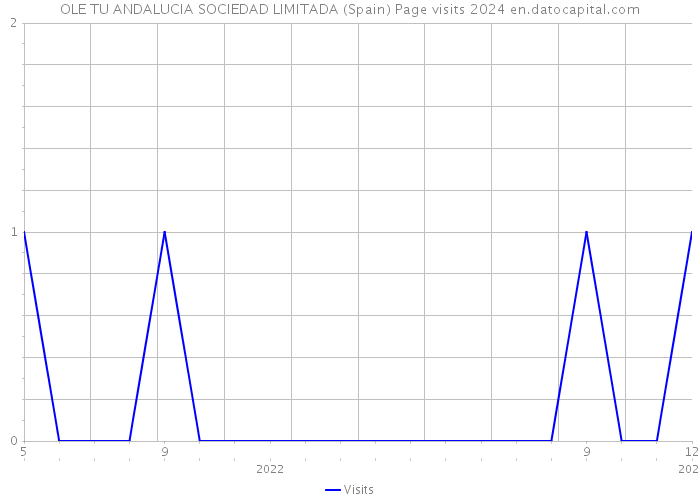 OLE TU ANDALUCIA SOCIEDAD LIMITADA (Spain) Page visits 2024 