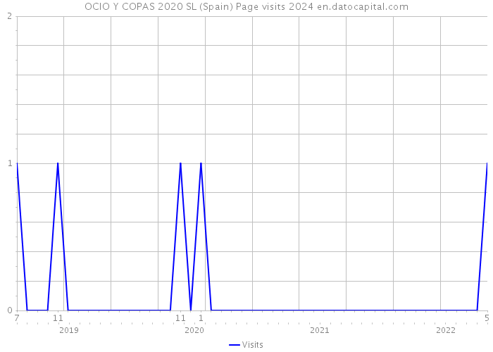 OCIO Y COPAS 2020 SL (Spain) Page visits 2024 