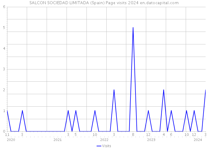 SALCON SOCIEDAD LIMITADA (Spain) Page visits 2024 