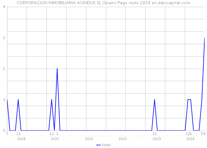 CORPORACION INMOBILIARIA AGINDUS SL (Spain) Page visits 2024 