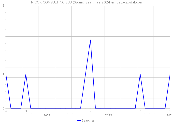 TRICOR CONSULTING SLU (Spain) Searches 2024 