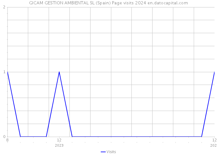 GICAM GESTION AMBIENTAL SL (Spain) Page visits 2024 
