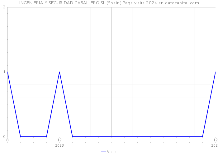 INGENIERIA Y SEGURIDAD CABALLERO SL (Spain) Page visits 2024 