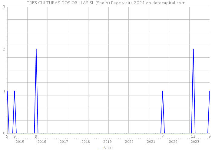 TRES CULTURAS DOS ORILLAS SL (Spain) Page visits 2024 