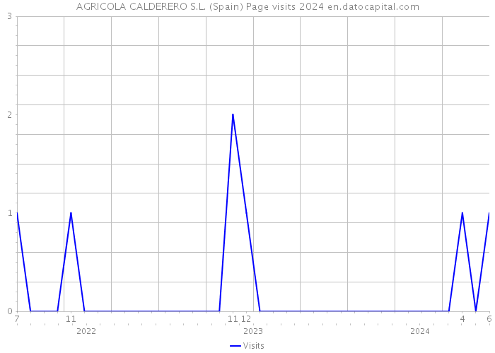 AGRICOLA CALDERERO S.L. (Spain) Page visits 2024 