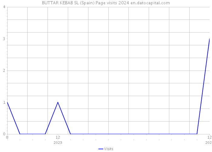 BUTTAR KEBAB SL (Spain) Page visits 2024 