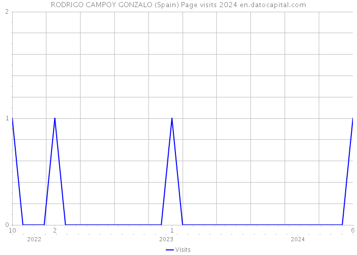 RODRIGO CAMPOY GONZALO (Spain) Page visits 2024 