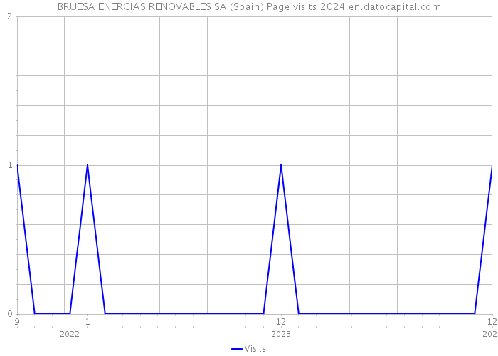 BRUESA ENERGIAS RENOVABLES SA (Spain) Page visits 2024 