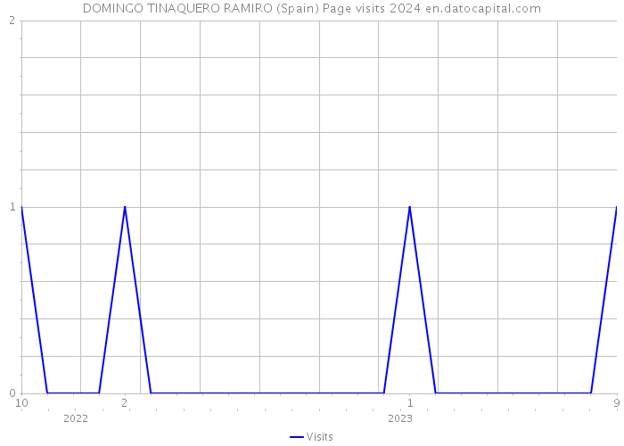 DOMINGO TINAQUERO RAMIRO (Spain) Page visits 2024 