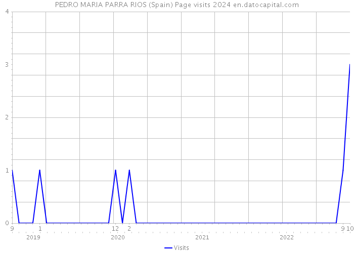 PEDRO MARIA PARRA RIOS (Spain) Page visits 2024 