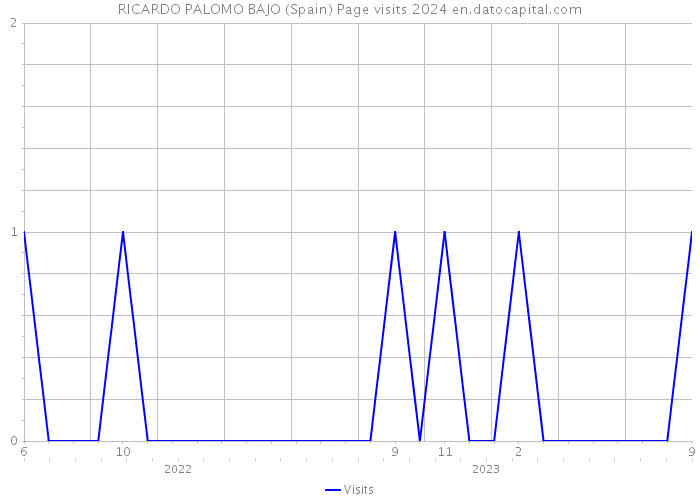 RICARDO PALOMO BAJO (Spain) Page visits 2024 