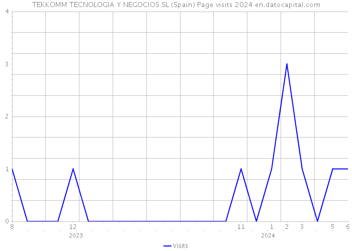 TEKKOMM TECNOLOGIA Y NEGOCIOS SL (Spain) Page visits 2024 