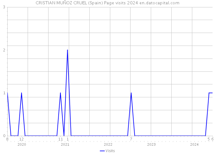 CRISTIAN MUÑOZ CRUEL (Spain) Page visits 2024 