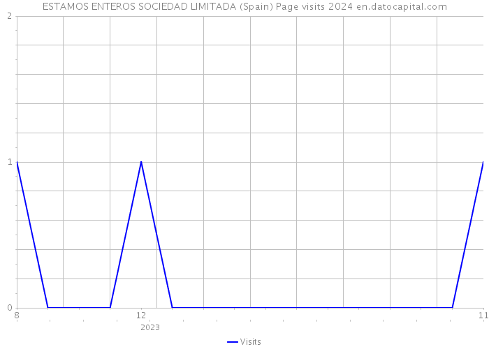 ESTAMOS ENTEROS SOCIEDAD LIMITADA (Spain) Page visits 2024 