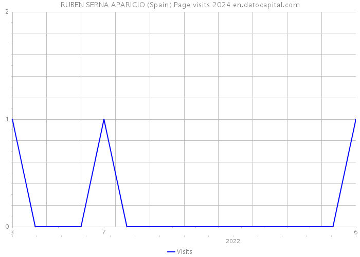 RUBEN SERNA APARICIO (Spain) Page visits 2024 