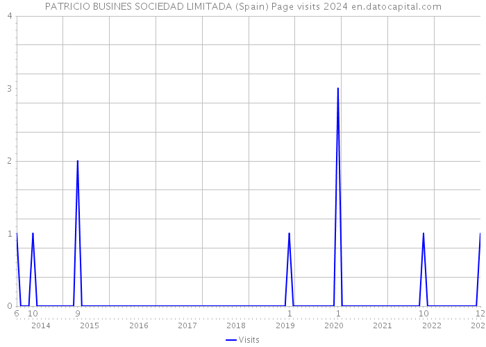 PATRICIO BUSINES SOCIEDAD LIMITADA (Spain) Page visits 2024 