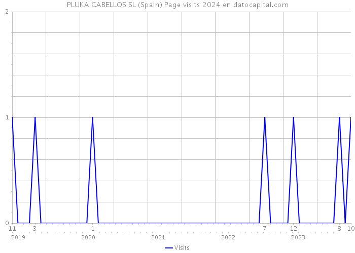PLUKA CABELLOS SL (Spain) Page visits 2024 