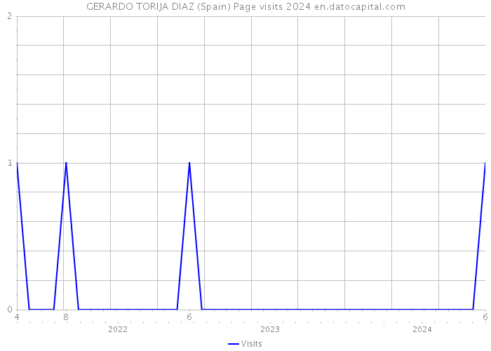 GERARDO TORIJA DIAZ (Spain) Page visits 2024 