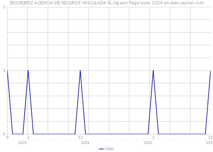 SEGURJERIZ AGENCIA DE SEGUROS VINCULADA SL (Spain) Page visits 2024 