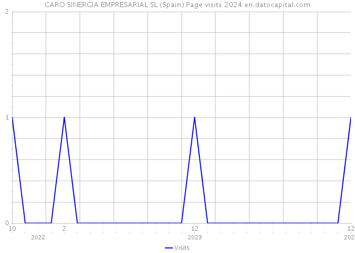 CARO SINERGIA EMPRESARIAL SL (Spain) Page visits 2024 