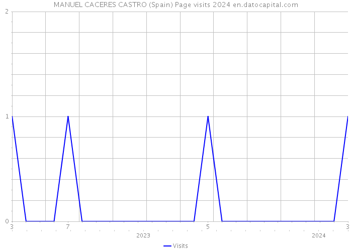 MANUEL CACERES CASTRO (Spain) Page visits 2024 