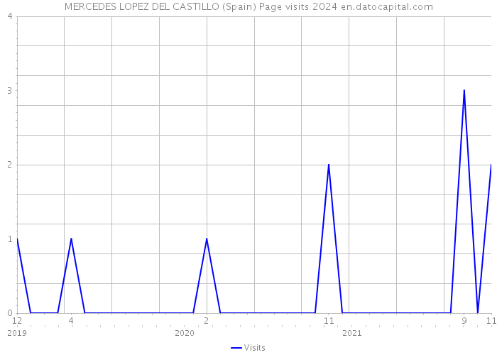 MERCEDES LOPEZ DEL CASTILLO (Spain) Page visits 2024 