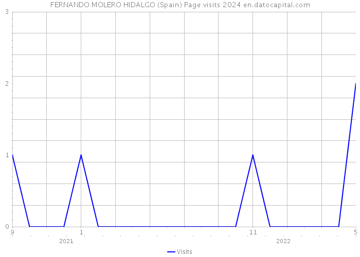 FERNANDO MOLERO HIDALGO (Spain) Page visits 2024 