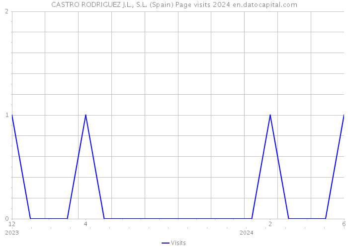 CASTRO RODRIGUEZ J.L., S.L. (Spain) Page visits 2024 