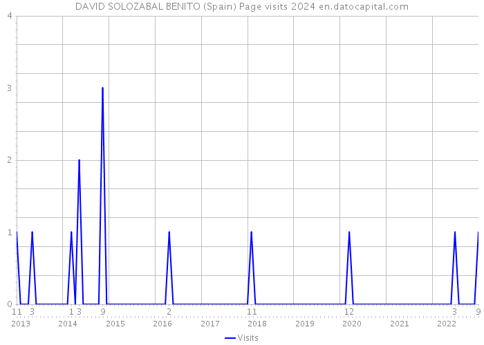 DAVID SOLOZABAL BENITO (Spain) Page visits 2024 