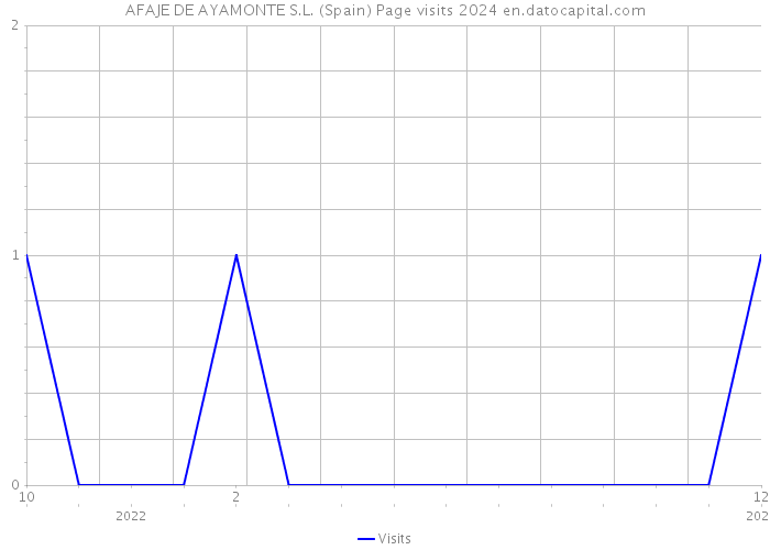 AFAJE DE AYAMONTE S.L. (Spain) Page visits 2024 