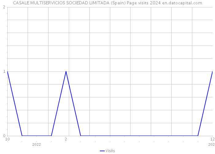 CASALE MULTISERVICIOS SOCIEDAD LIMITADA (Spain) Page visits 2024 