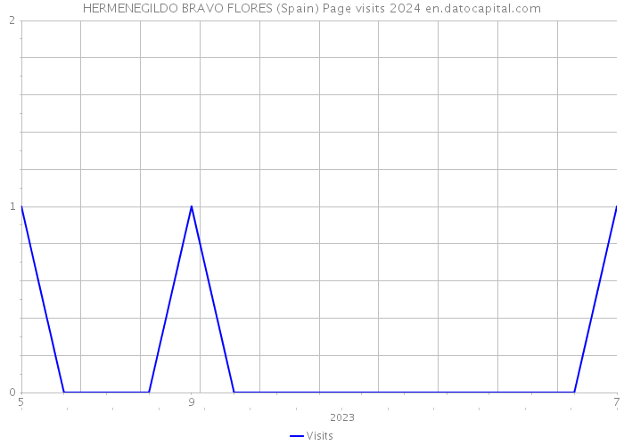 HERMENEGILDO BRAVO FLORES (Spain) Page visits 2024 