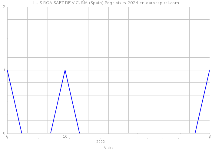 LUIS ROA SAEZ DE VICUÑA (Spain) Page visits 2024 