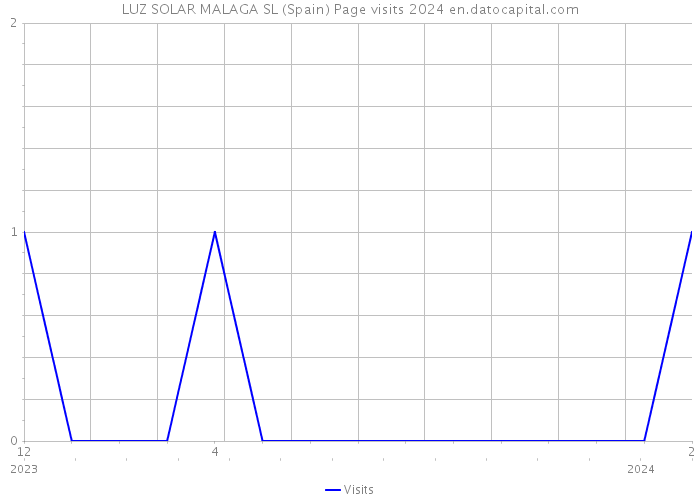 LUZ SOLAR MALAGA SL (Spain) Page visits 2024 