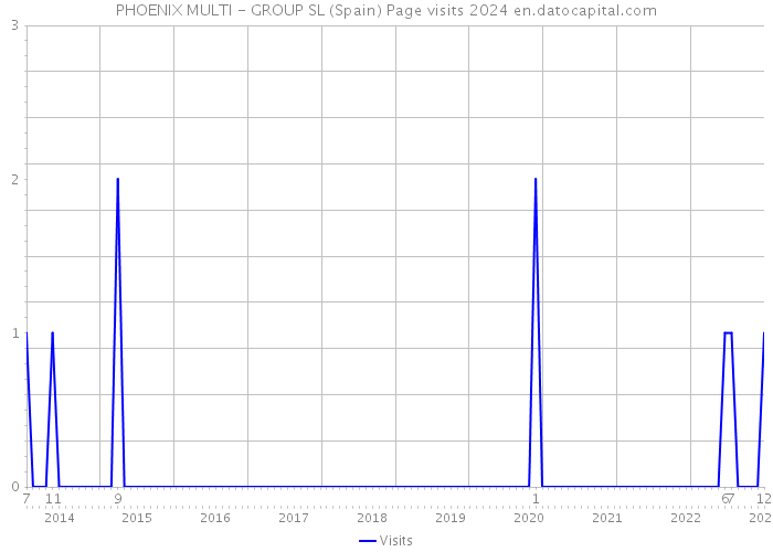 PHOENIX MULTI - GROUP SL (Spain) Page visits 2024 