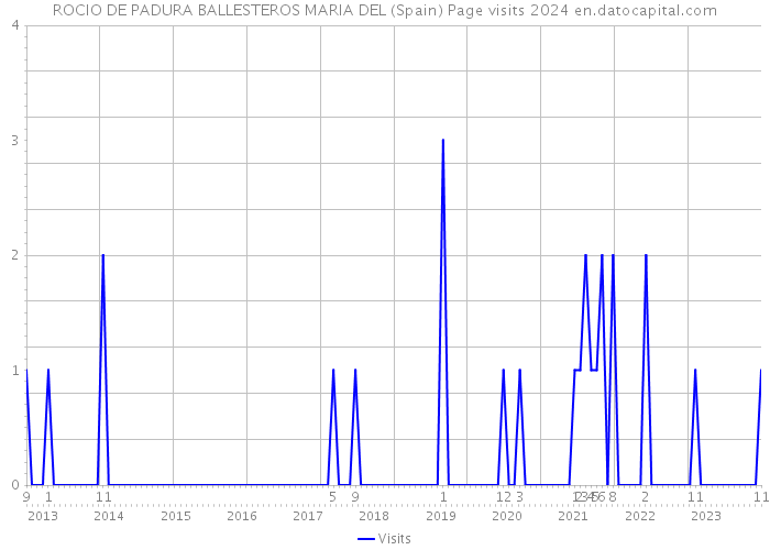ROCIO DE PADURA BALLESTEROS MARIA DEL (Spain) Page visits 2024 