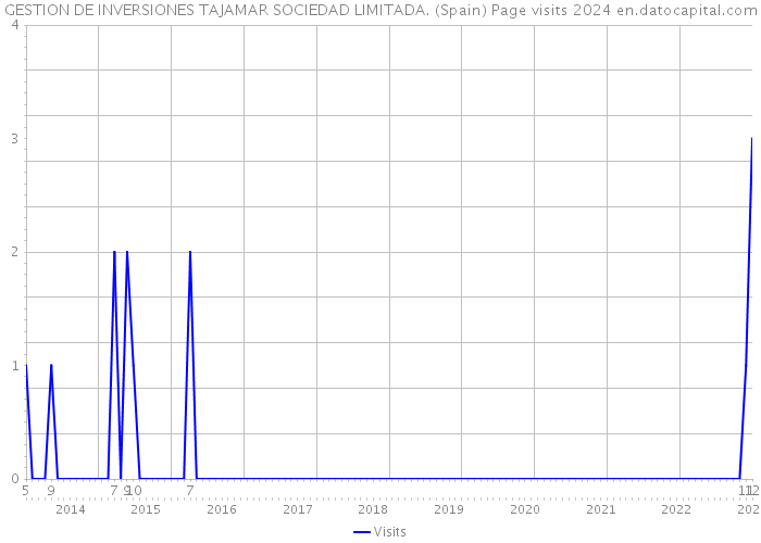 GESTION DE INVERSIONES TAJAMAR SOCIEDAD LIMITADA. (Spain) Page visits 2024 