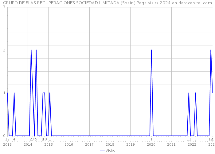 GRUPO DE BLAS RECUPERACIONES SOCIEDAD LIMITADA (Spain) Page visits 2024 