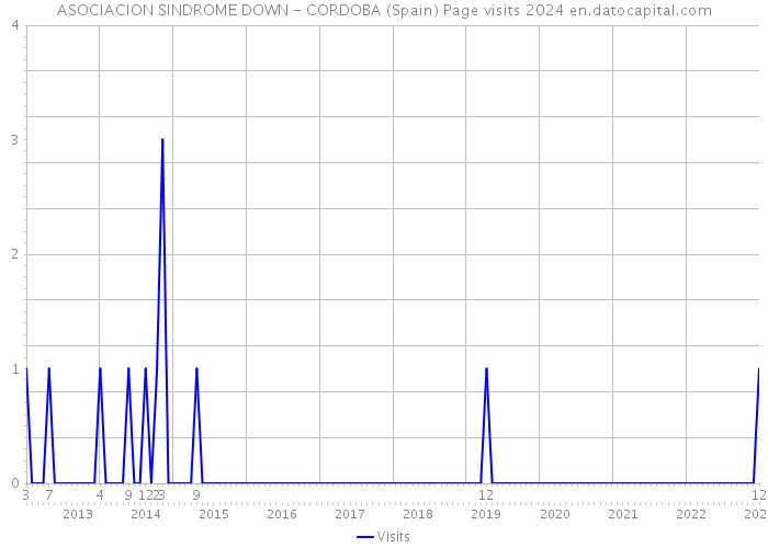 ASOCIACION SINDROME DOWN - CORDOBA (Spain) Page visits 2024 