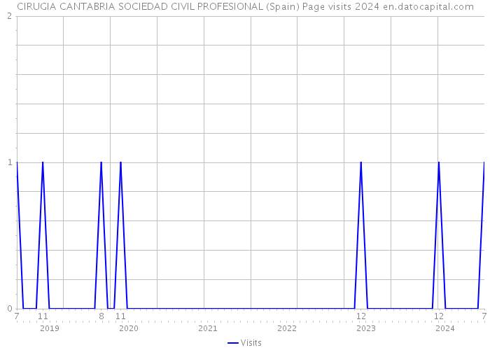 CIRUGIA CANTABRIA SOCIEDAD CIVIL PROFESIONAL (Spain) Page visits 2024 