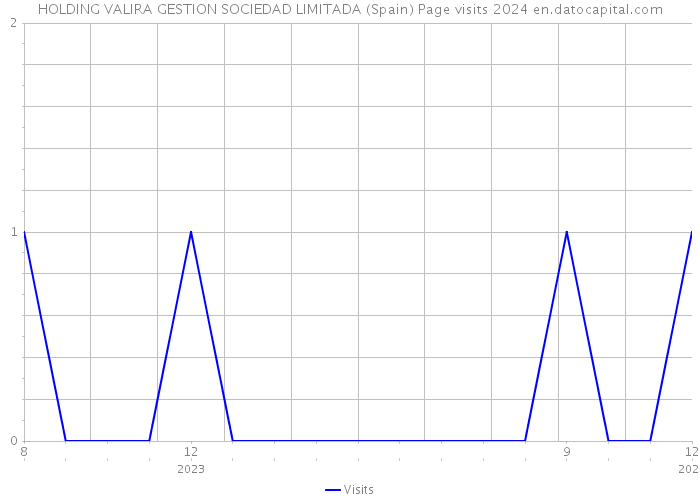 HOLDING VALIRA GESTION SOCIEDAD LIMITADA (Spain) Page visits 2024 