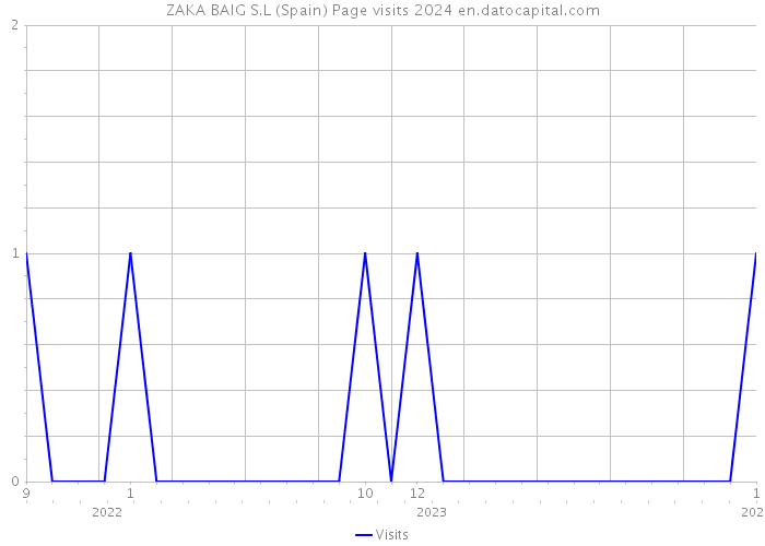 ZAKA BAIG S.L (Spain) Page visits 2024 