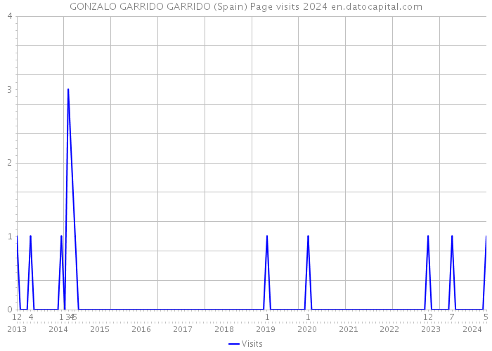 GONZALO GARRIDO GARRIDO (Spain) Page visits 2024 