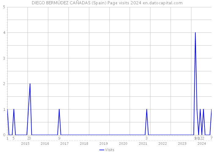 DIEGO BERMÚDEZ CAÑADAS (Spain) Page visits 2024 
