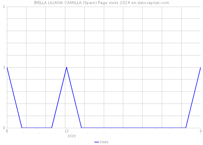 BIELLA LILIANA CAMILLA (Spain) Page visits 2024 