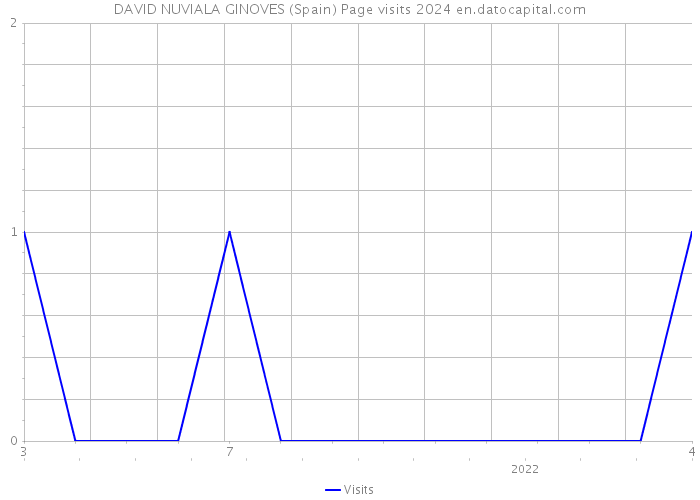 DAVID NUVIALA GINOVES (Spain) Page visits 2024 